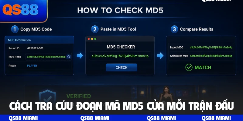Cách tra cứu đoạn mã MD5 của mỗi trận đấu