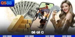 Đá gà C1