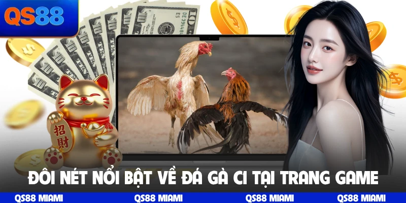 Đôi nét nổi bật về đá gà C1 tại trang game
