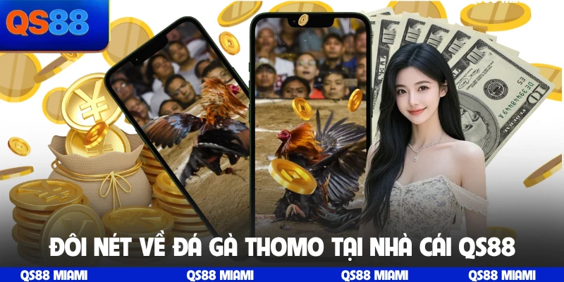 Đôi nét về đá gà Thomo tại nhà cái QS88