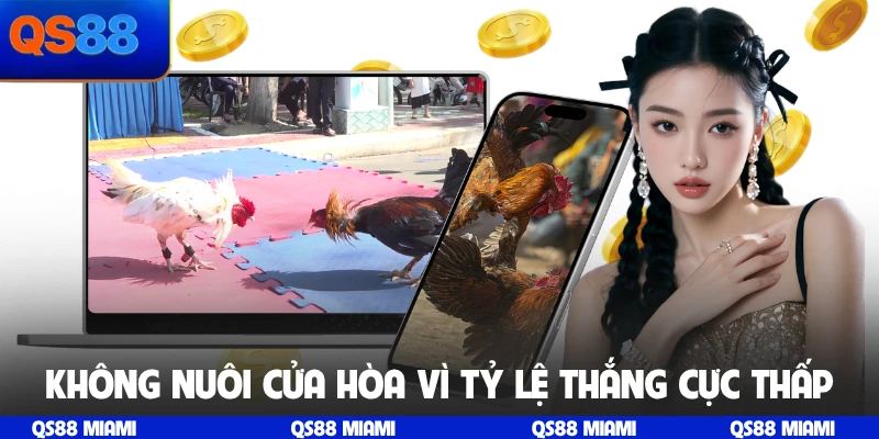 Không nuôi cửa hòa vì tỷ lệ thắng cực thấp